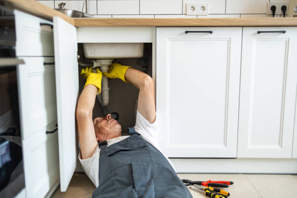 Best Plumbing System Maintenance  in Beech Island, SC